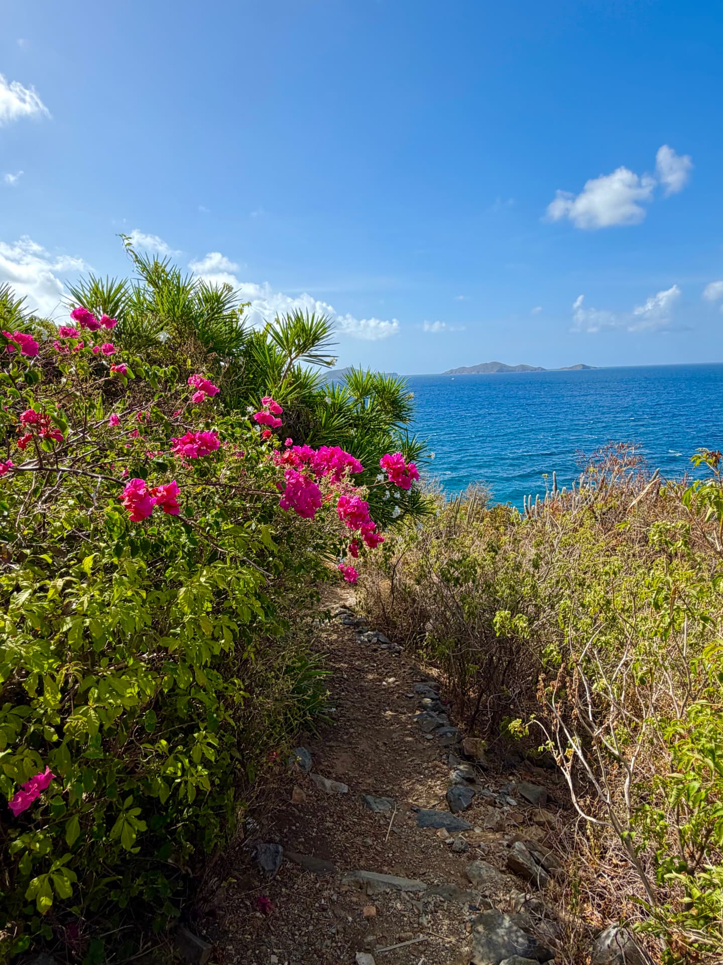 Scenic coastal path with vibrant flowers in New Hope, Pennsylvania