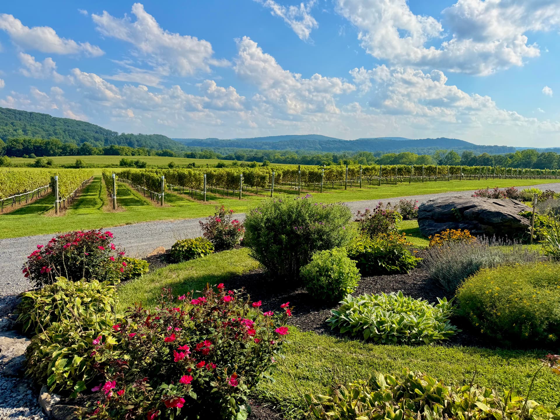 New Hope property represented by Revi